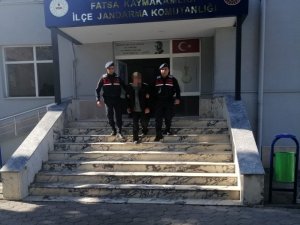 Köpekleri öldürdü, sosyal medya sayesinde yakalandı