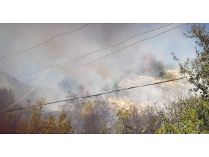 Samandağ’da çıkan yangın kontrol altına alındı