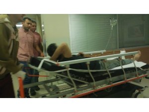 Kestiği ağaç üzerine devrildi