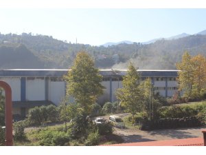 Giresun’daki fındık fabrikası yangını