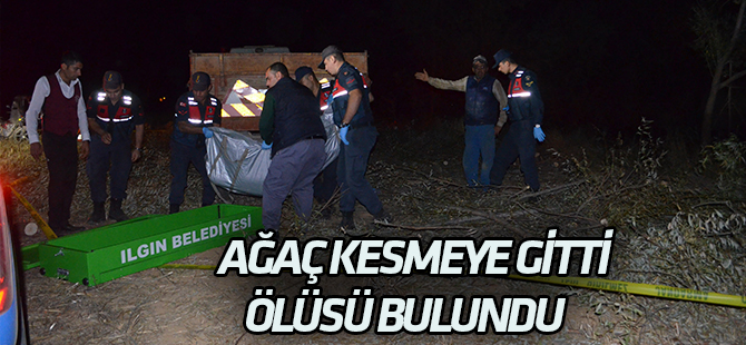 Ağaç kesmeye giden yaşlı adam ölü bulundu