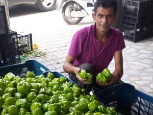 Elektrikli bisikletten düştü, tedaviyi kabul etmedi