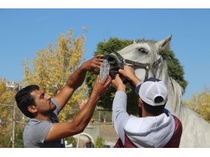 At çiftliğindeki yangında 1 milyon lira maddi hasar