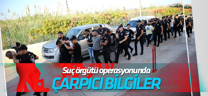 Suç örgütü operasyonunda çarpıcı bilgiler
