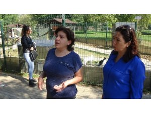 Kediyi mangalda diri diri yaktılar