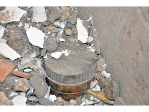 Şoke eden davetsiz misafir