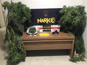 Konya’da uyuşturucu operasyonu: 9 gözaltı