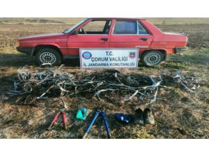 Çaldığı kablolarla birlikte yakalandı