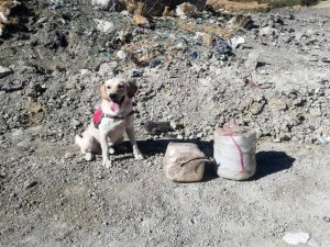 Mehmetçiğin dikkati olası faciayı önledi