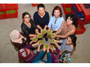 Neptün Soyer ve Meral Seçer, kooperatifleşme için el ele verdi