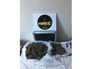Burdur jandarmasından kenevir operasyonu