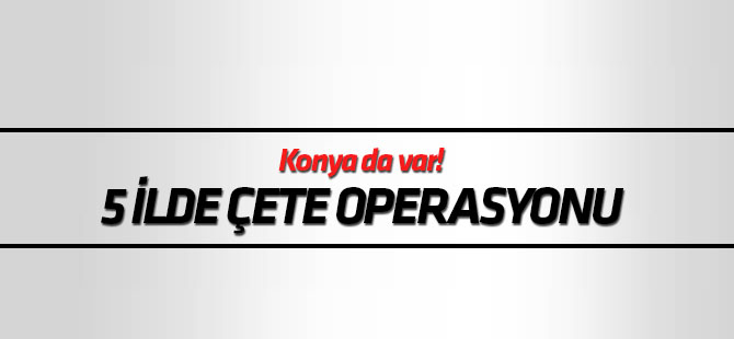 5 ilde organize suç örgütü operasyonu