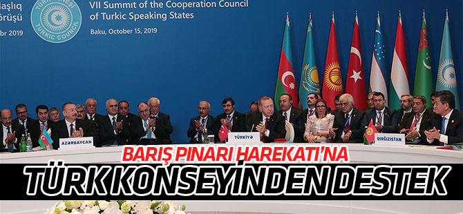 Türk Konseyi’nden Barış Pınarı Harekatı’na tam destek