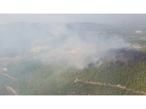 Hatay'da orman yangını