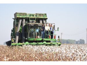 Manisa’da ‘Beyaz altın’ hasadı başladı