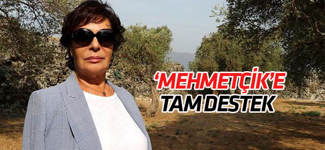 Hülya Koçyiğit'ten Barış Pınarı Harekatı'na destek