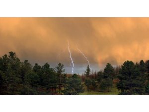 Düşen yıldırım ormanı yaktı