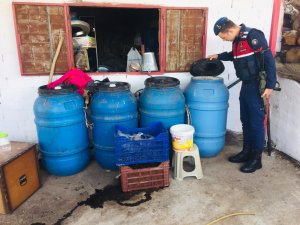 Aydın'da 2 bin 820 litre kaçak şarap ele geçirildi
