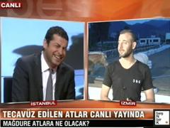 Tecavüz edilen 'mağdure' atlar canlı yayında!