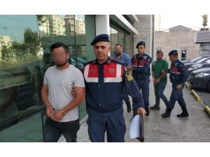 İnek hırsızları jandarma tarafından yakalandı