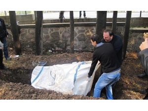 Beş yıldır gömülü olan yunusun iskeleti EÜ Tabiat Tarihi Müzesinde