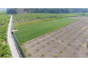 Muğla’da 121 bin 3000 dekar tarım arazisi sulandı