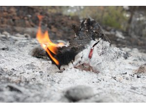 Erdemli’de 10 hektar kızılçam ormanı yandı