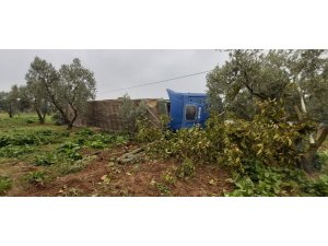 Şişe yüklü tır zeytin bahçesine devrildi