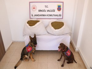 Bingöl’de uyuşturucudan 109 şüpheli tutuklandı