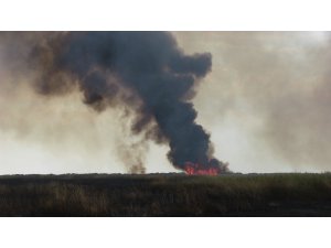 Hatay’da sazlık yangını
