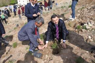 Beyşehir'de ağaç bayramı