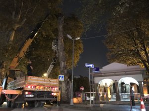 Kocaeli'de devrilme riski taşıyan asırlık çınar kesildi