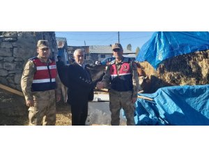 Jandarma ekipleri hayvan hırsızlarına göz açtırmıyor