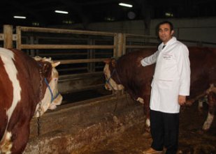 İşte kırmızı ette geldiğimiz son nokta!