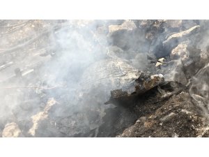 Yanan kaplumbağanın görüntüsü yürekleri sızlattı