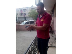 Havalandırma boşluğuna düşen kuş kurtarıldı