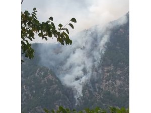 Kahramanmaraş’ta orman yangını