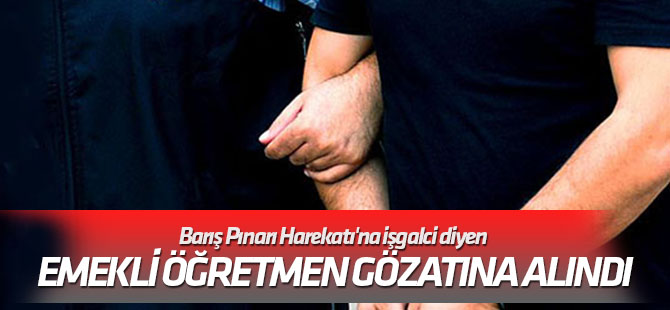 Barış Pınarı Harekatı'na işgalci diyen emekli öğretmen gözatına alındı
