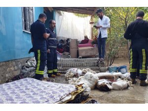 Van’da korkutan yangın