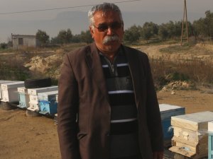 Mersin’de hırsızlar arı kovanlarına dadandı