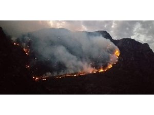 Kahramanmaraş’ta orman yangını