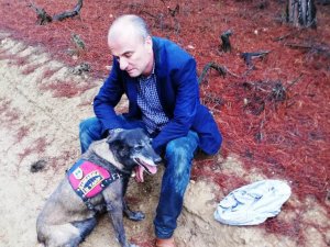 Ormanda kaybolan şube müdürünü iz takip köpeği buldu