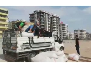 Odun talaşının altında 254 kilo esrar bulundu