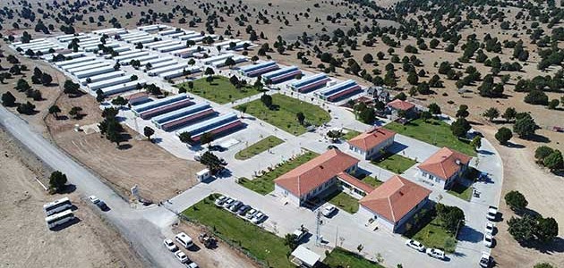 Konya'da sokak hayvanlarına "konforlu" barınak