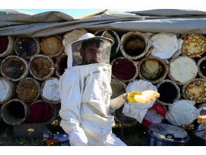 3 bin rakımlı yaylalarda karakovan balı hasadı başladı