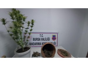 Lokantadan uyuşturucu çıktı