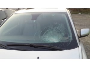 Üniversite öğrencisine çarpıp kaçtı