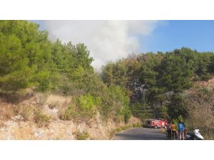 Alanya’da orman yangını