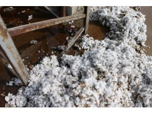 Pamuk fabrikasında yangın korkuttu