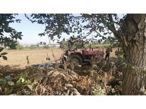 Tarlada korkunç cinayet